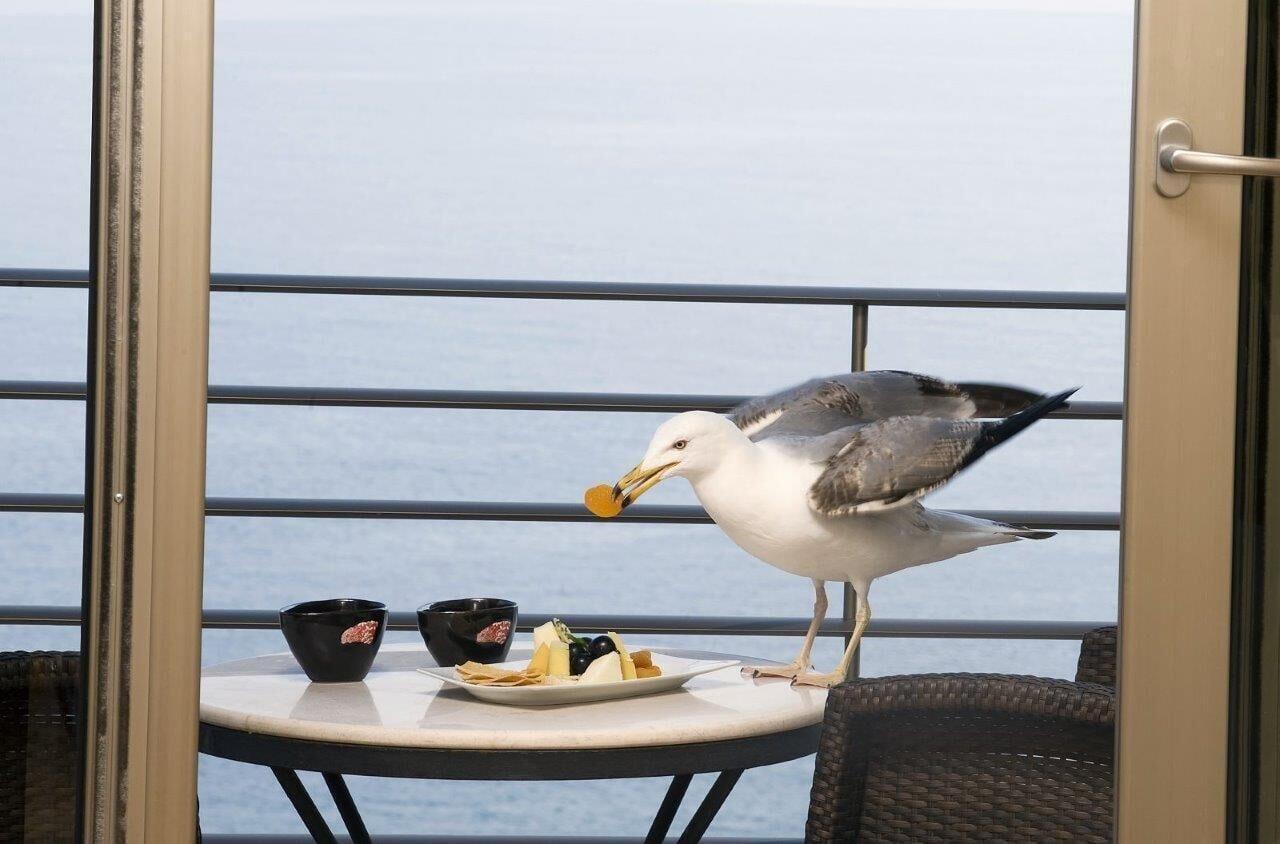 Cinar Hotel Istanbul Ngoại thất bức ảnh