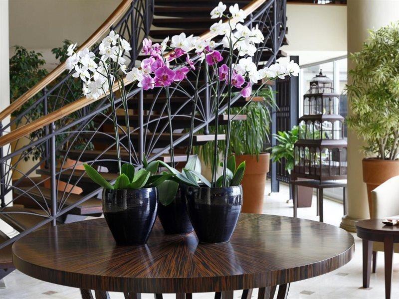 Cinar Hotel Istanbul Ngoại thất bức ảnh