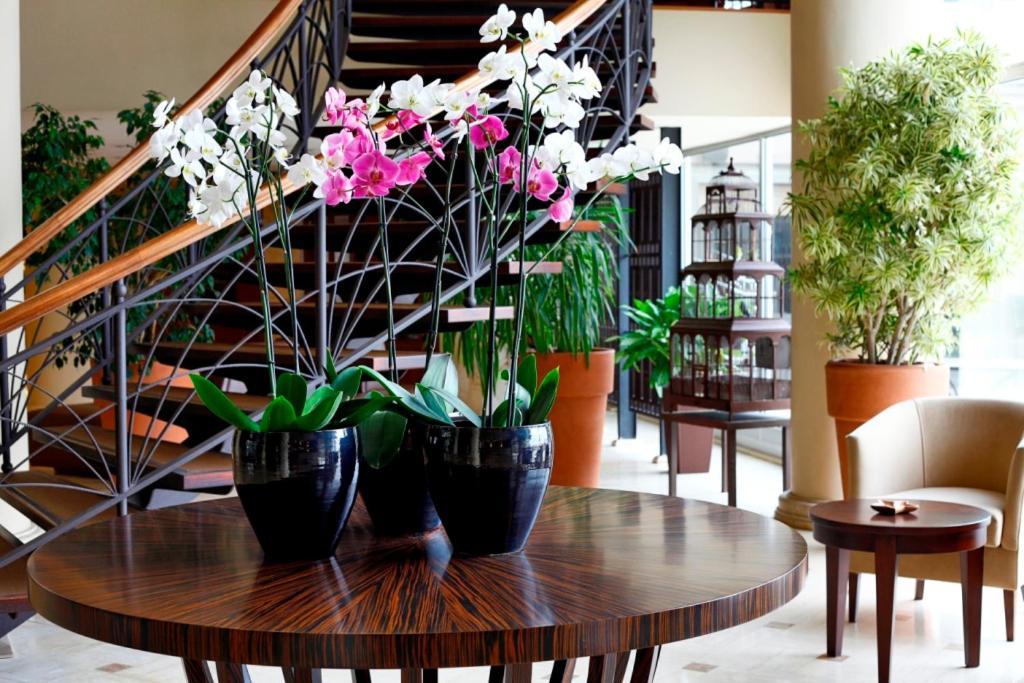 Cinar Hotel Istanbul Ngoại thất bức ảnh